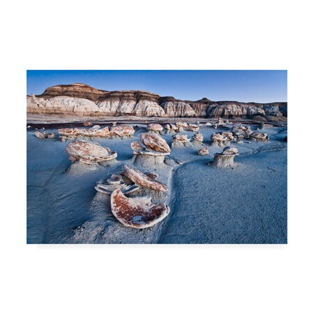 Trademark Fine Art John Fan 'Bisti Blue' Canvas Art, 16x24 1X08409-C1624GG